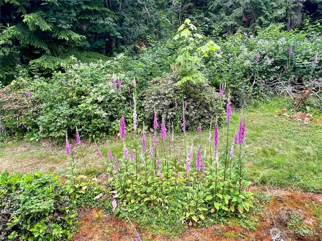 $415,000 | 91 North Chandler Court, Unit D, Port Ludlow, WA 98365