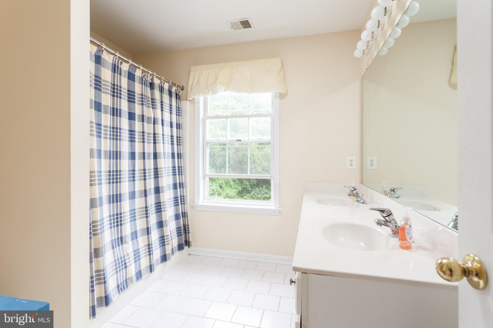 14417 Misty Valley Road Phoenix, MD 21131 - Photo 22 of 33 Hall bath with dual sinks