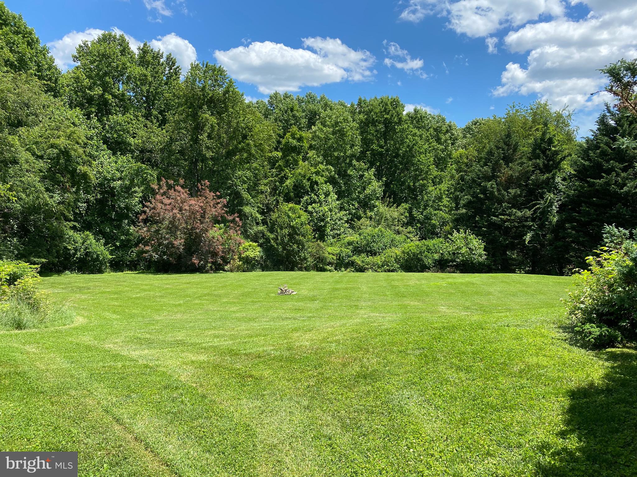 14417 Misty Valley Road Phoenix, MD 21131 - Photo 5 of 33 Private, wooded back yard