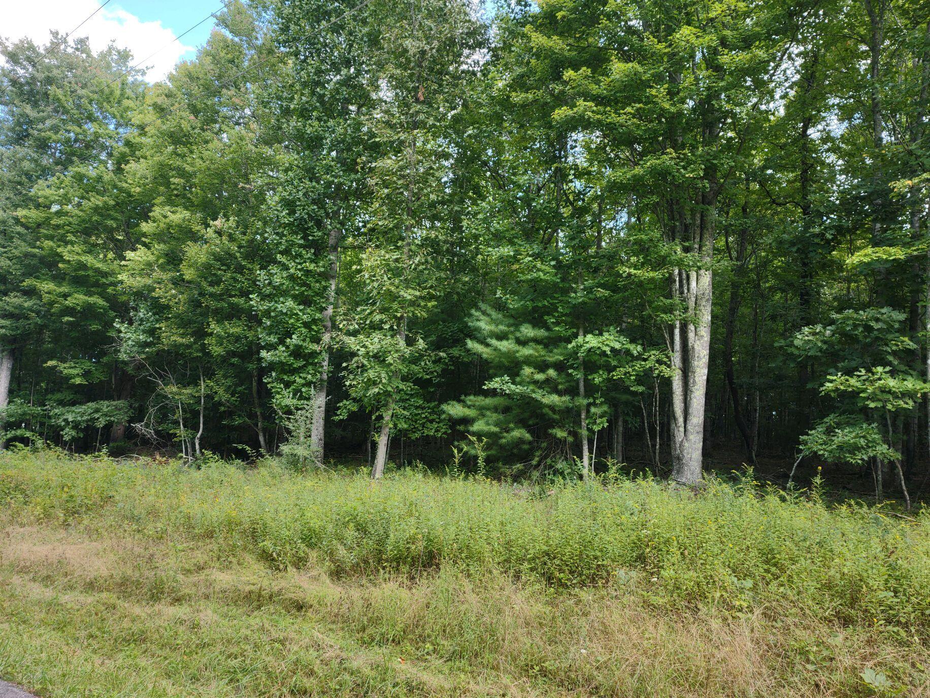 0 Coles Knob Road Northeast Check, VA 24072 - Photo 5 of 6 a view of outdoor space and green field