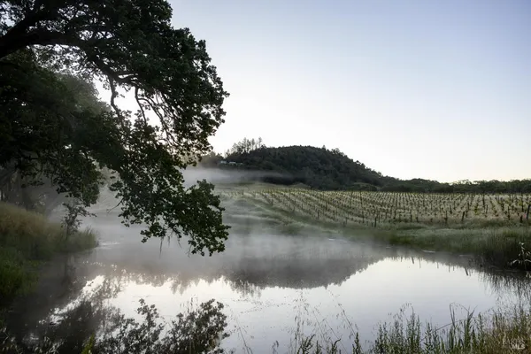 $15,500,000 | 13414 Chalk Hill Road, Healdsburg, CA 95448