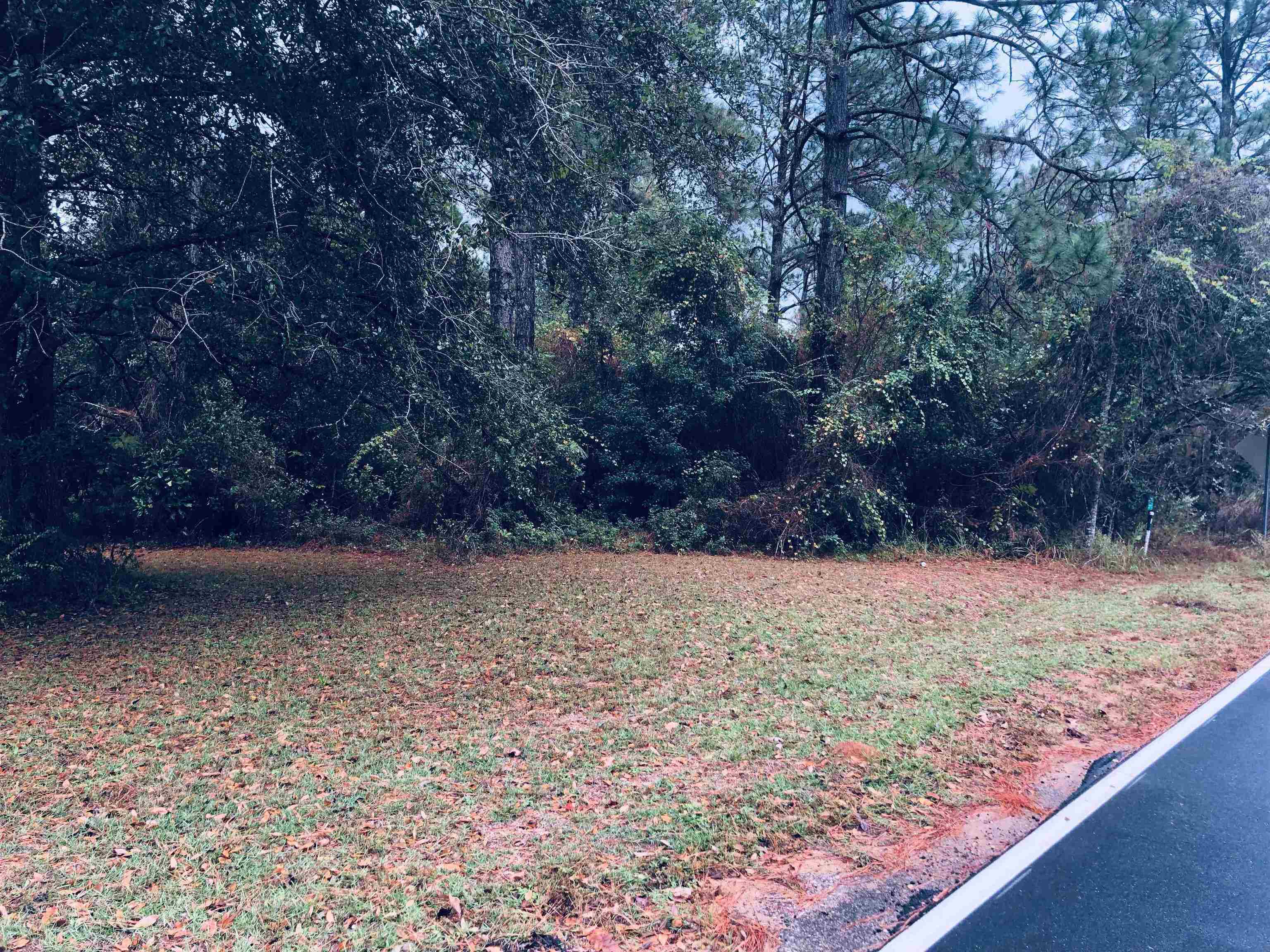 20950 Lacey Road Silverhill, AL 36576 - Photo 16 of 17