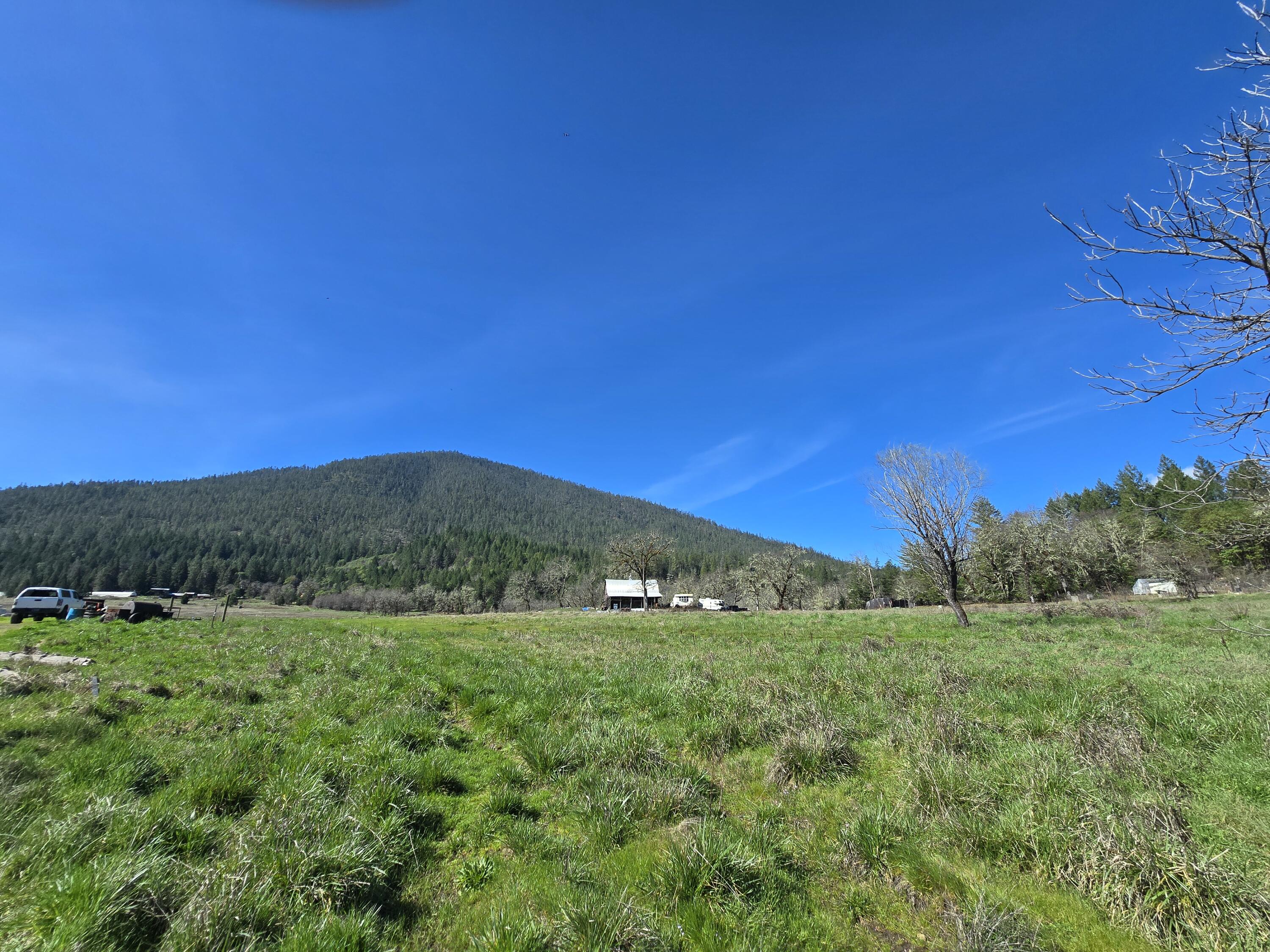 147 Warren Road Selma, OR 97538 - Photo 4 of 16 a view of grassy field with mountain