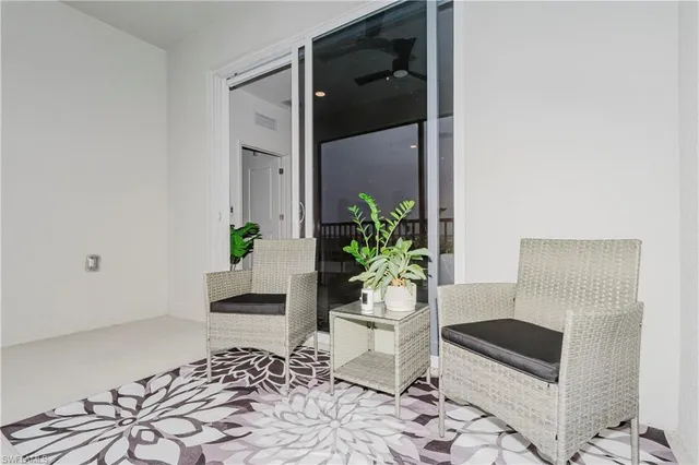 a living room with a potted plant and a rug
