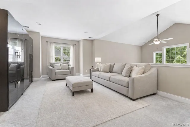 a view of a park with large trees