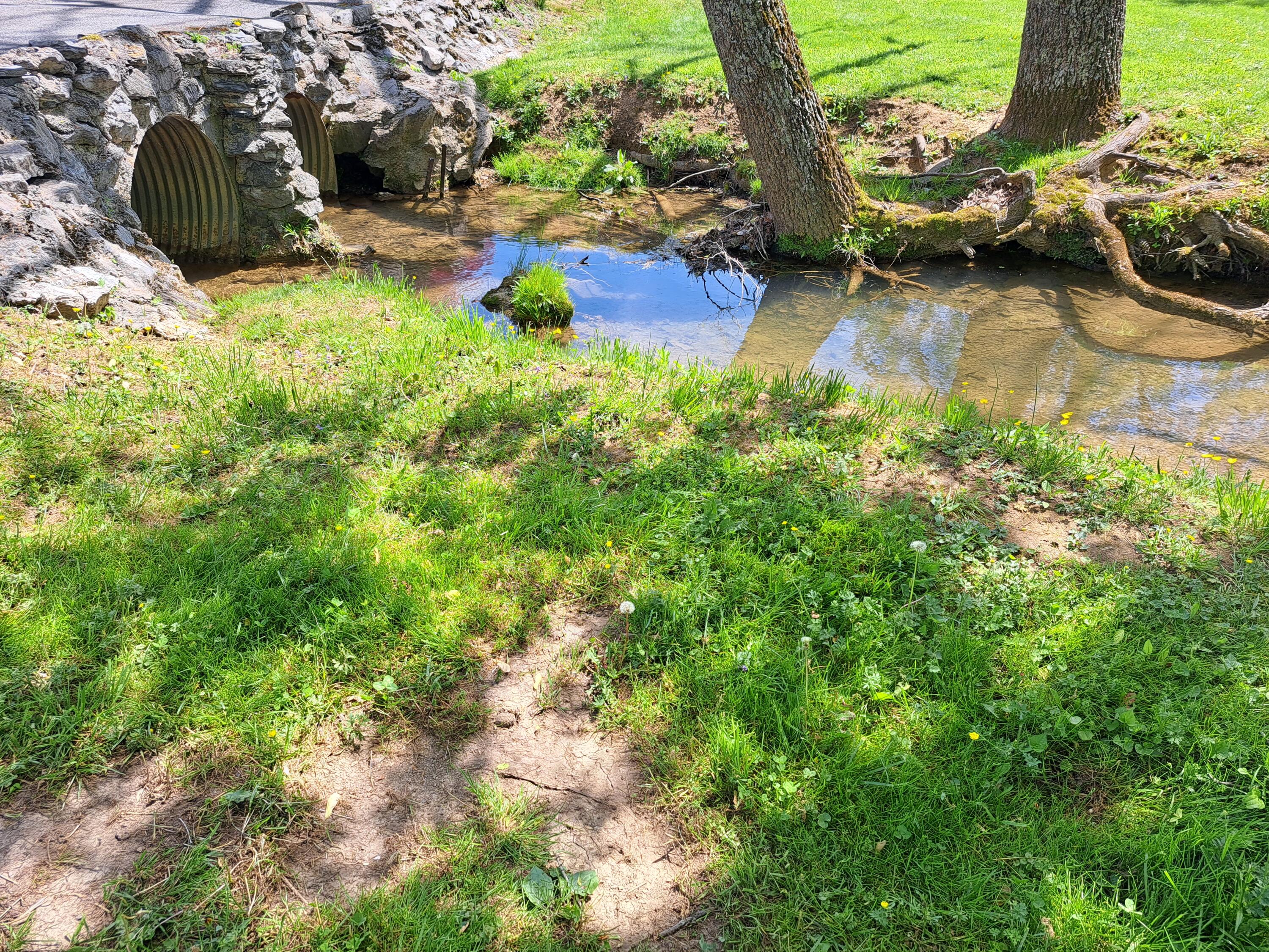 359 Adams Chapel Road Blountville, TN 37617 - Photo 54 of 66 20230421_122740