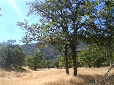 5577 West Side Road Cave Junction, OR 97523 - Photo 1 of 2 Primary Photo