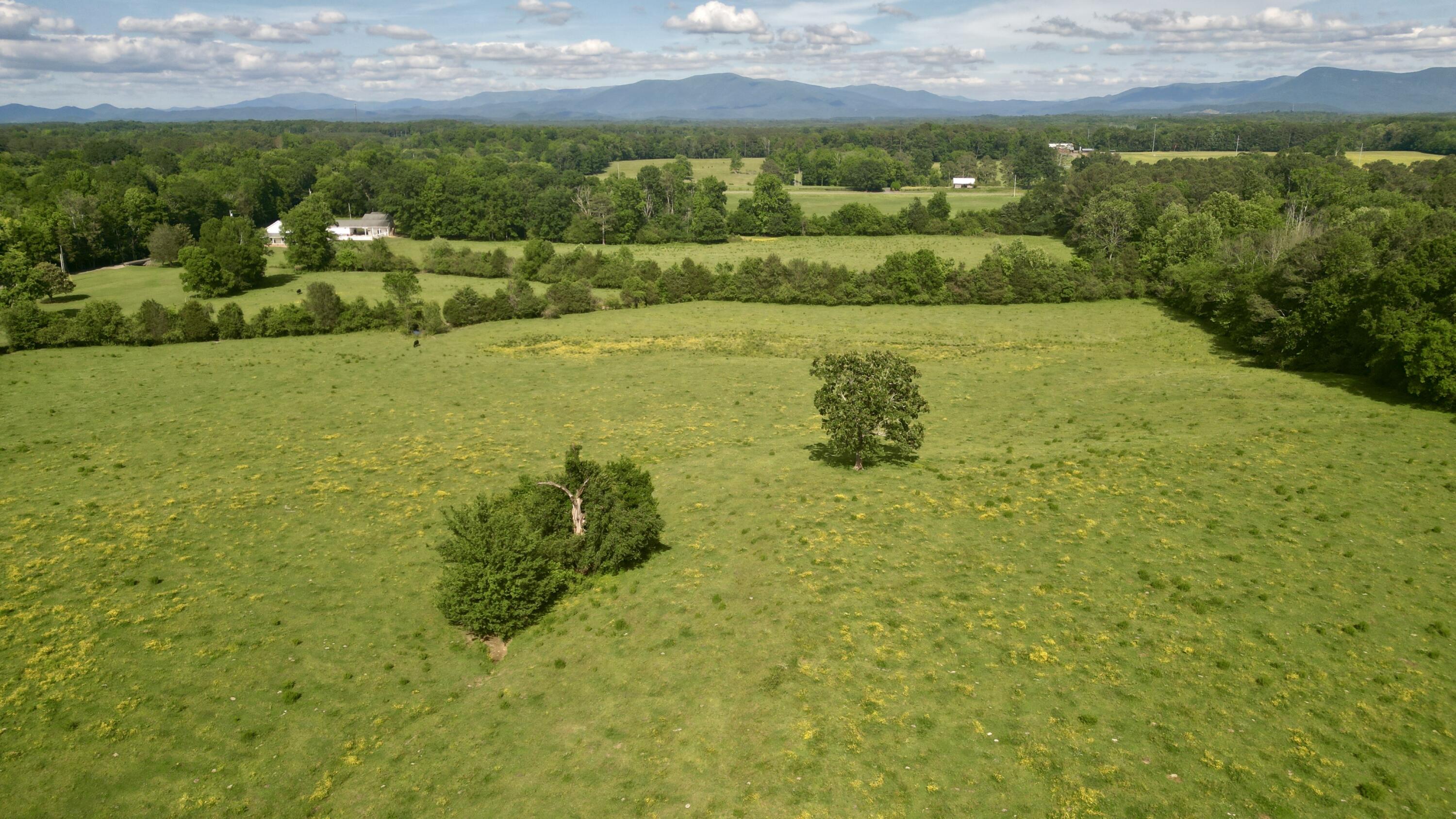 1816 Dawnville Beaverdale Road Dalton, GA 30721 - Photo 25 of 28 1816 Dawnville-Beaverdale26