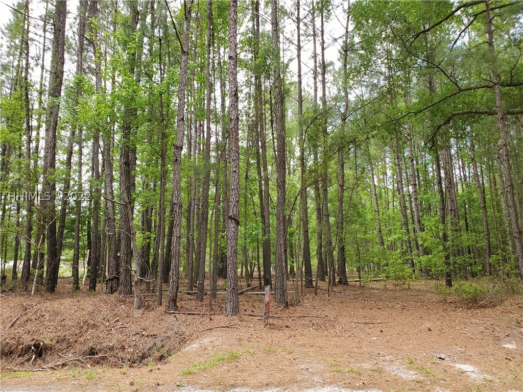 0 Rivers Hill Pineland, SC 29934 - Photo 1 of 1 Gallery Image 1