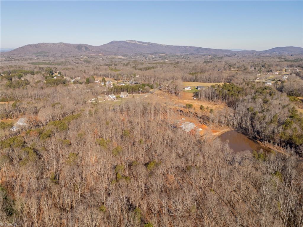 0 Brown Road King, NC 27021 - Photo 11 of 15