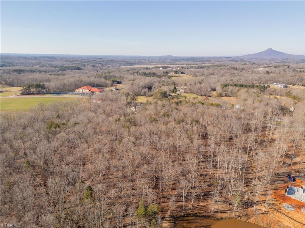 0 Brown Road King, NC 27021 - Photo 13 of 15