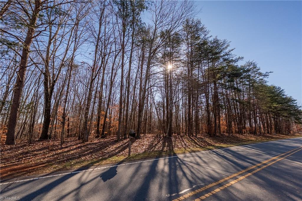 0 Brown Road King, NC 27021 - Photo 3 of 15