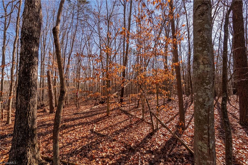 0 Brown Road King, NC 27021 - Photo 4 of 15