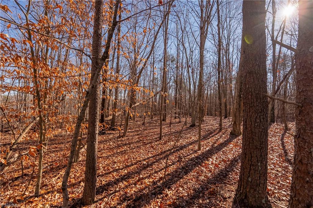 0 Brown Road King, NC 27021 - Photo 5 of 15