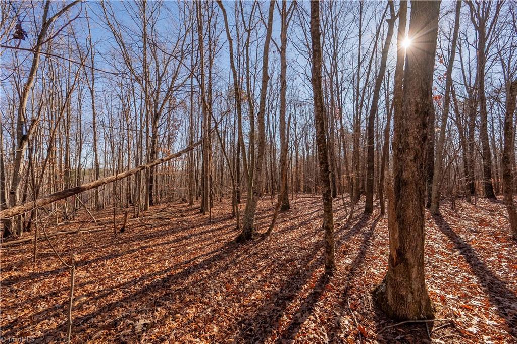 0 Brown Road King, NC 27021 - Photo 6 of 15