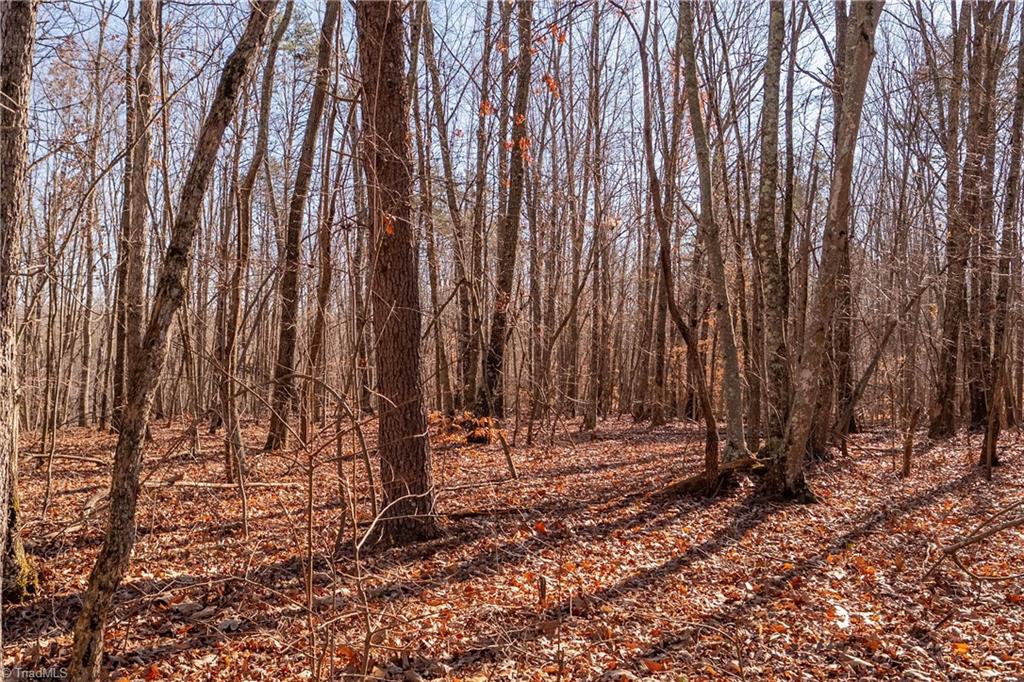 0 Brown Road King, NC 27021 - Photo 7 of 15