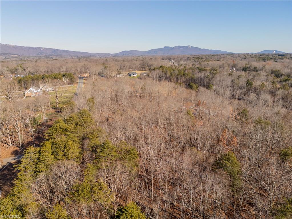 0 Brown Road King, NC 27021 - Photo 10 of 15