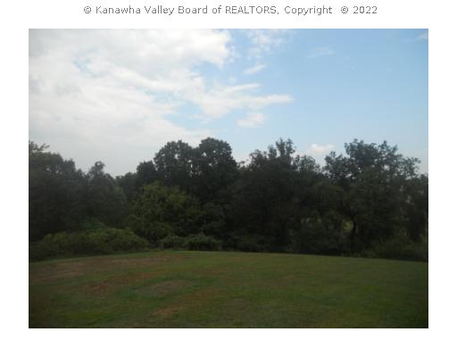 195 Mount Etna Road Liberty, WV 25124 - Photo 4 of 12 Land/Lot. View from the back porch