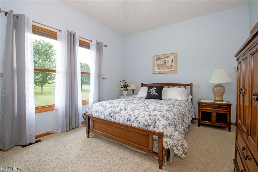 4281 Heyl Road Wooster, OH 44691 - Photo 12 of 32 Carpeted bedroom with multiple windows