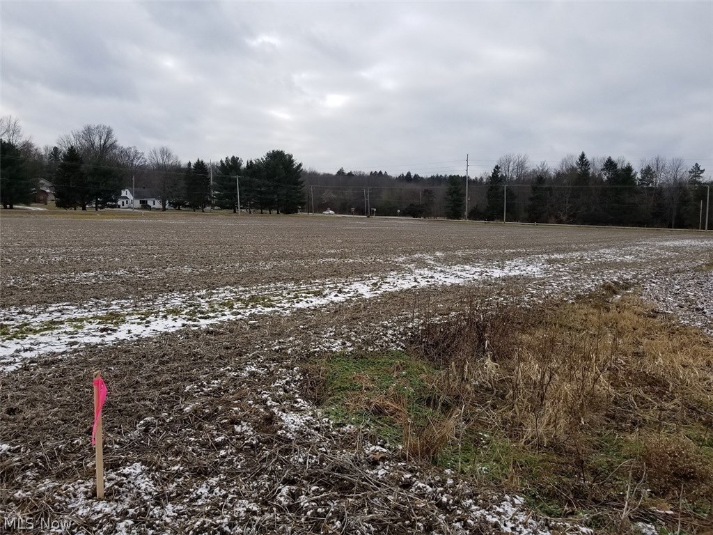 Vl Fixler Road Wadsworth, OH 44281 - Photo 8 of 16