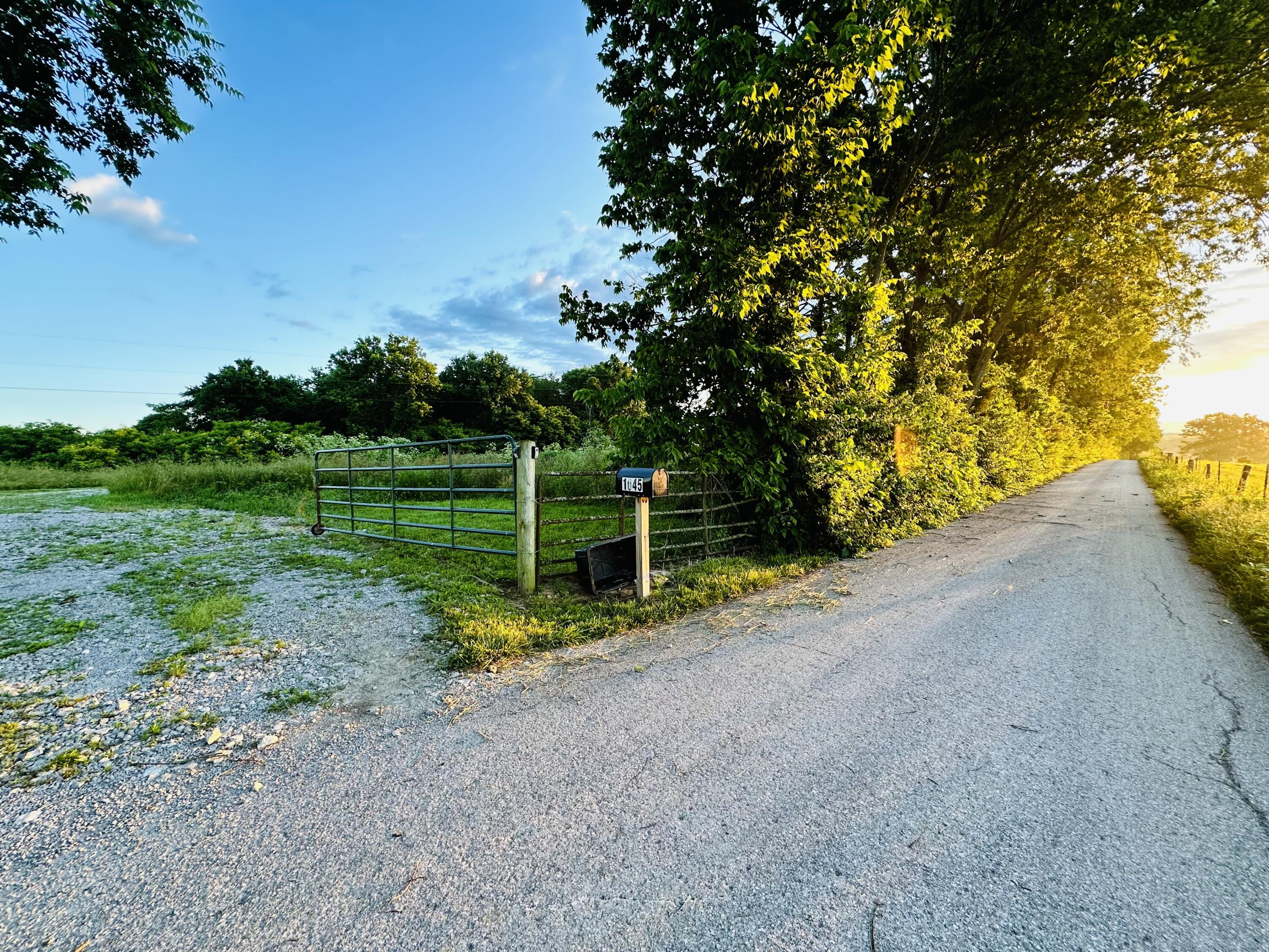 1045 Shields Road Sharpsburg, KY 40374 - Photo 9 of 46 driveway entrance
