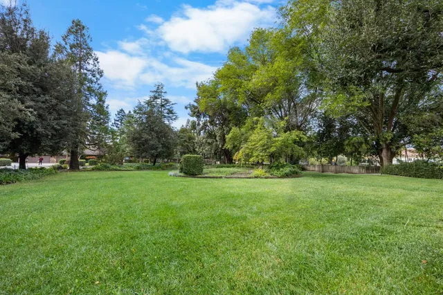 a view of a grassy field with trees