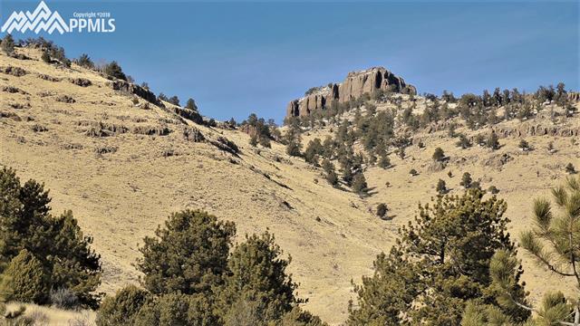 370 Wagonwheel Road Guffey, CO 80820 - Photo 30 of 35 Gallery Image 30