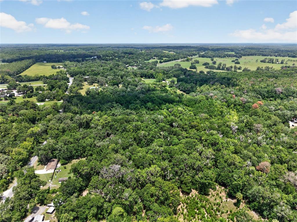 5725 Northwest 219th Street Road Micanopy, FL 32667 - Photo 2 of 17