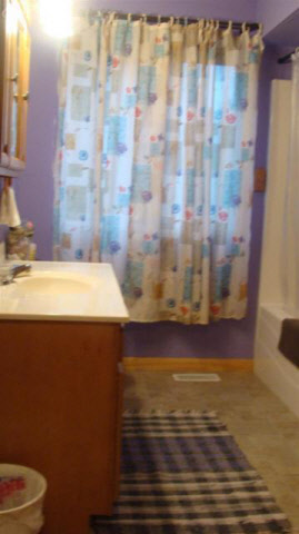 7415 Hess Road Millington, MI 48746 - Photo 5 of 5 20181554-4.JPG