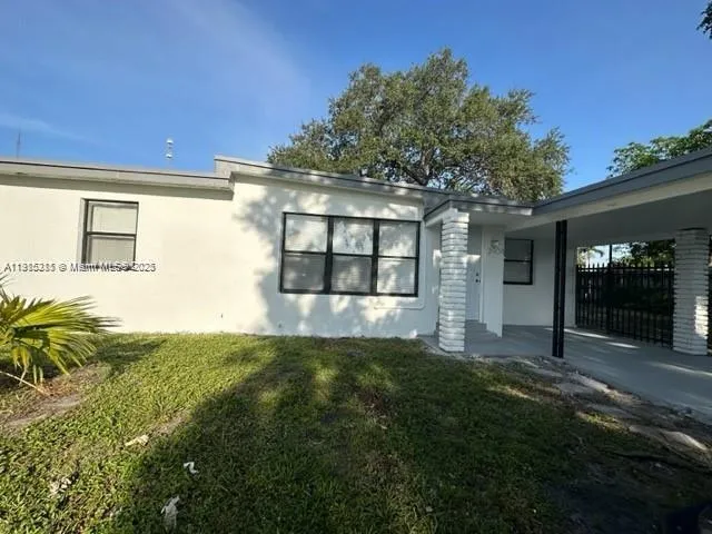a view of a backyard with plants and large tree