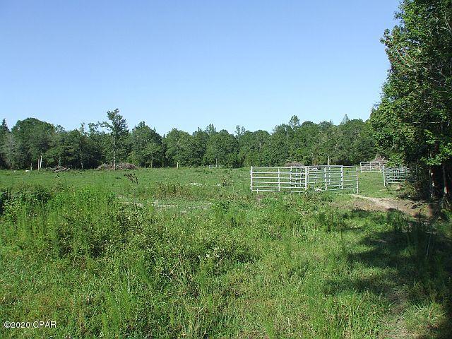 2835 Beall Packing Road Bonifay, FL 32425 - Photo 46 of 48 Gallery Image 46