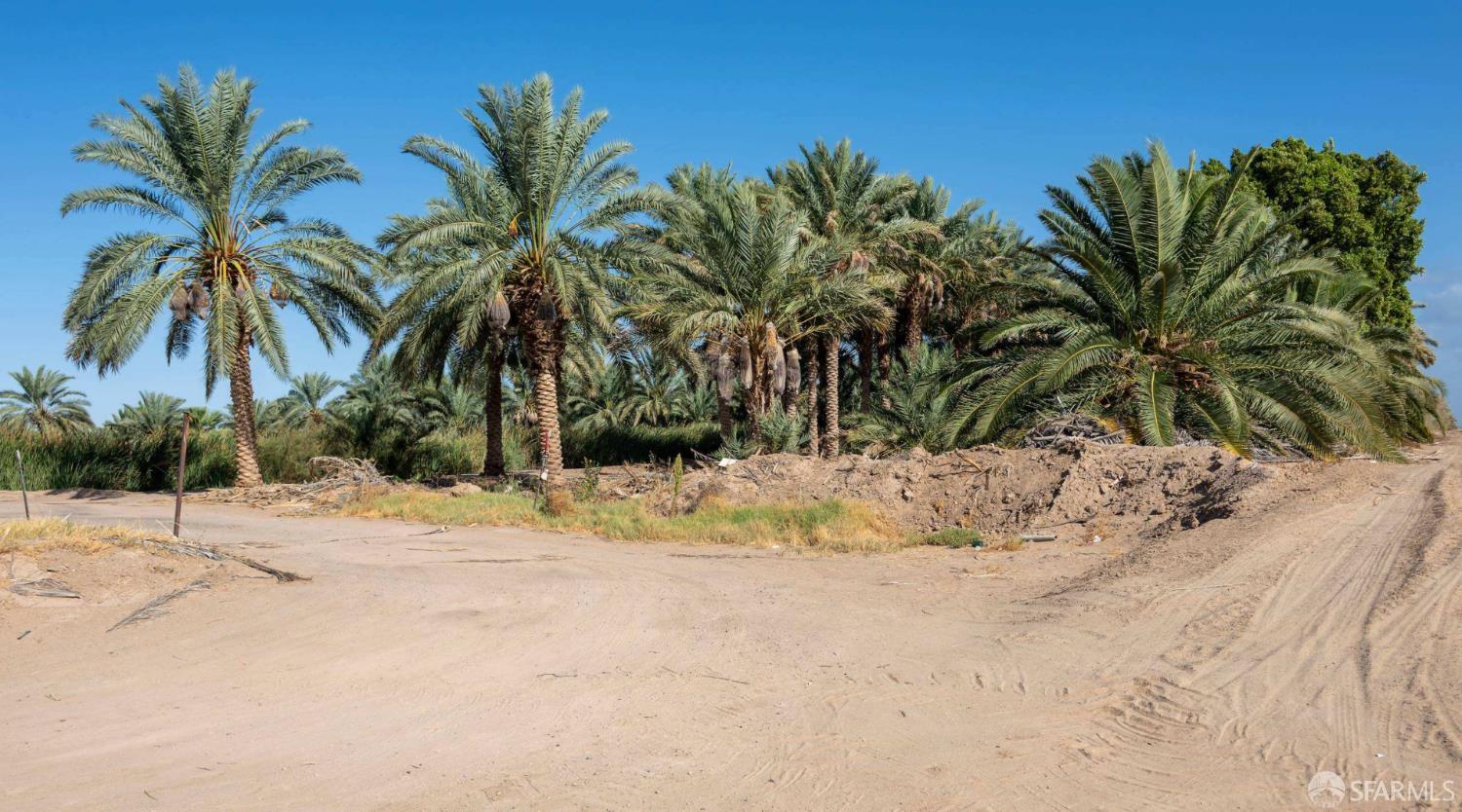 5296 Buck Road Brawley, CA 92227 - Photo 81 of 87 Gallery Image 81