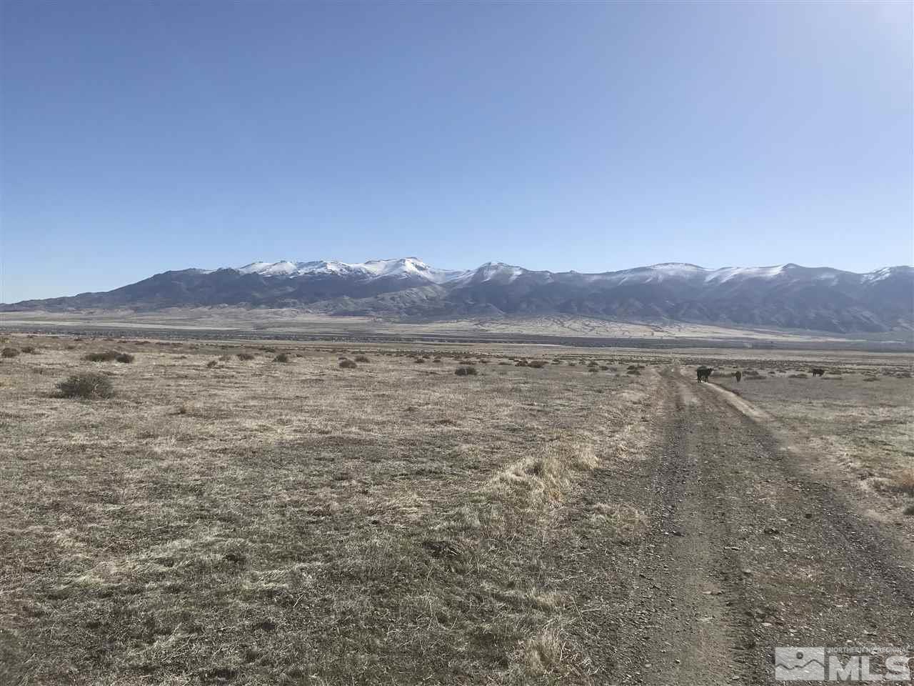 370001 Old Emigrant Road Lovelock, NV 89419 - Photo 3 of 5 Photo 3