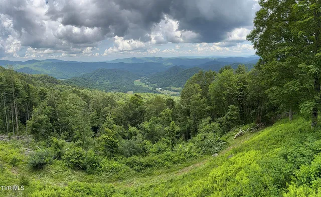 $100,000 | Tbd Log Cabin Lane, Roan Mountain, TN 37687