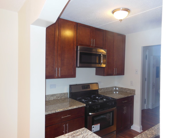 300 West Fullerton Avenue, Unit 303 Addison, IL 60101 - Photo 11 of 24