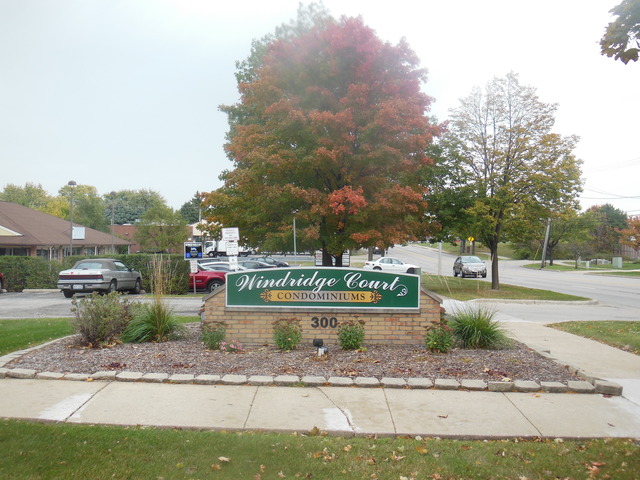 300 West Fullerton Avenue, Unit 303 Addison, IL 60101 - Photo 2 of 24