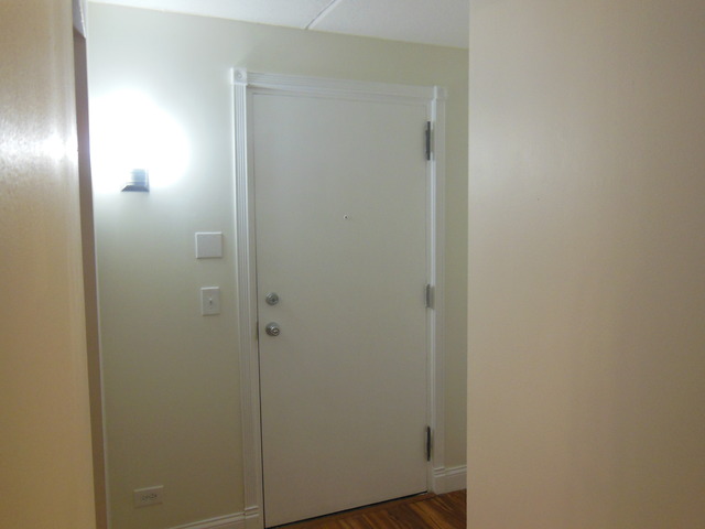 300 West Fullerton Avenue, Unit 303 Addison, IL 60101 - Photo 7 of 24