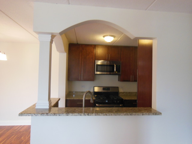 300 West Fullerton Avenue, Unit 303 Addison, IL 60101 - Photo 10 of 24