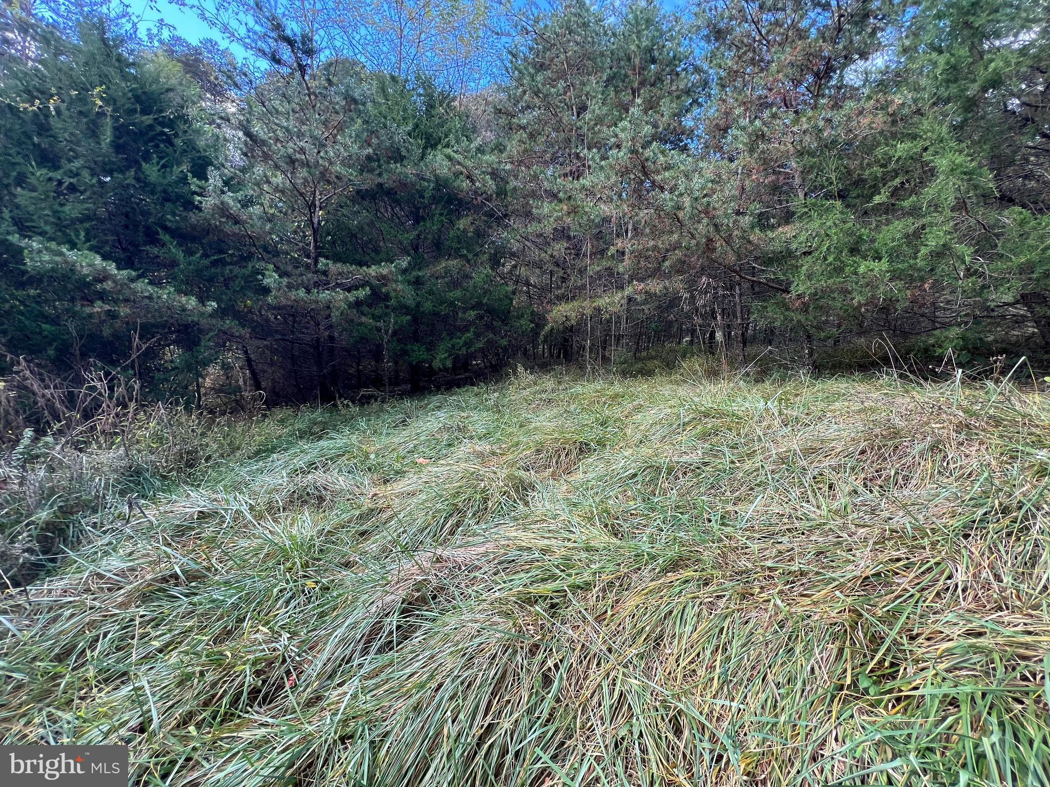 Lot 6 Deep Run Hollow Road Delray, WV 26714 - Photo 4 of 18 a view of outdoor space and a yard