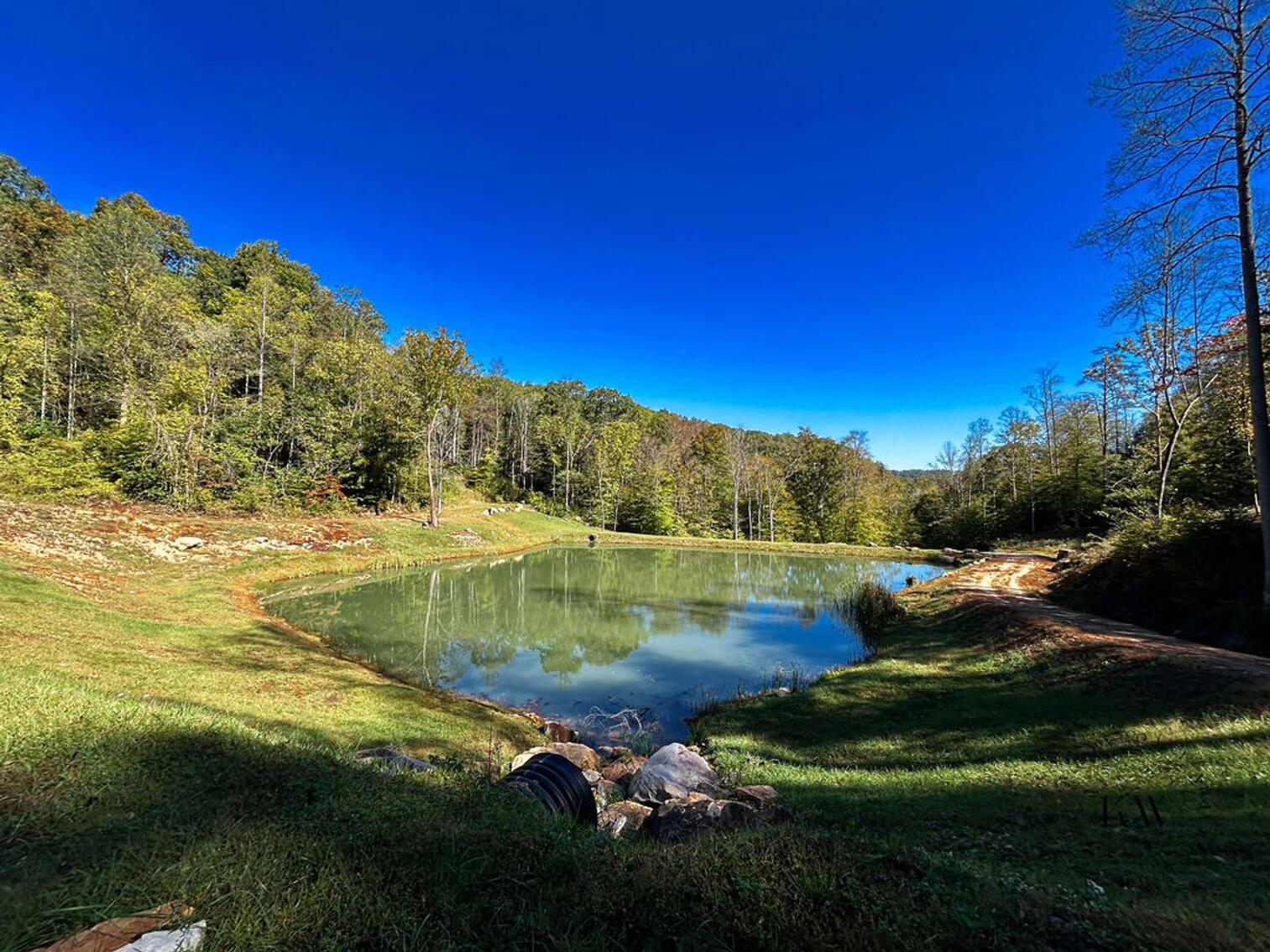 170 Birch Hollow Road Stanton, KY 40380 - Photo 8 of 25