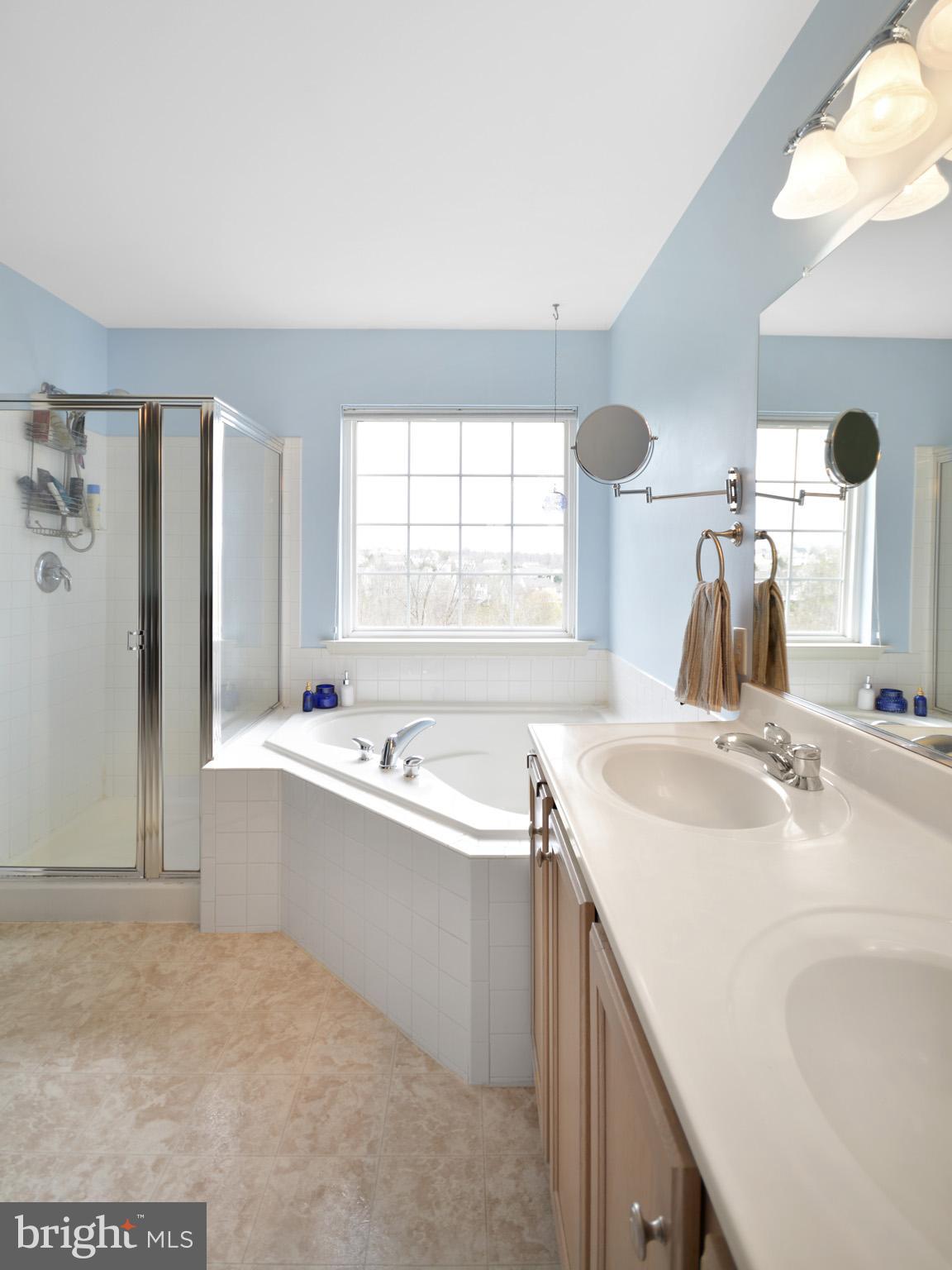 1741 Trestle Street Mount Airy, MD 21771 - Photo 19 of 30 a bathroom with a sink and a bathtub