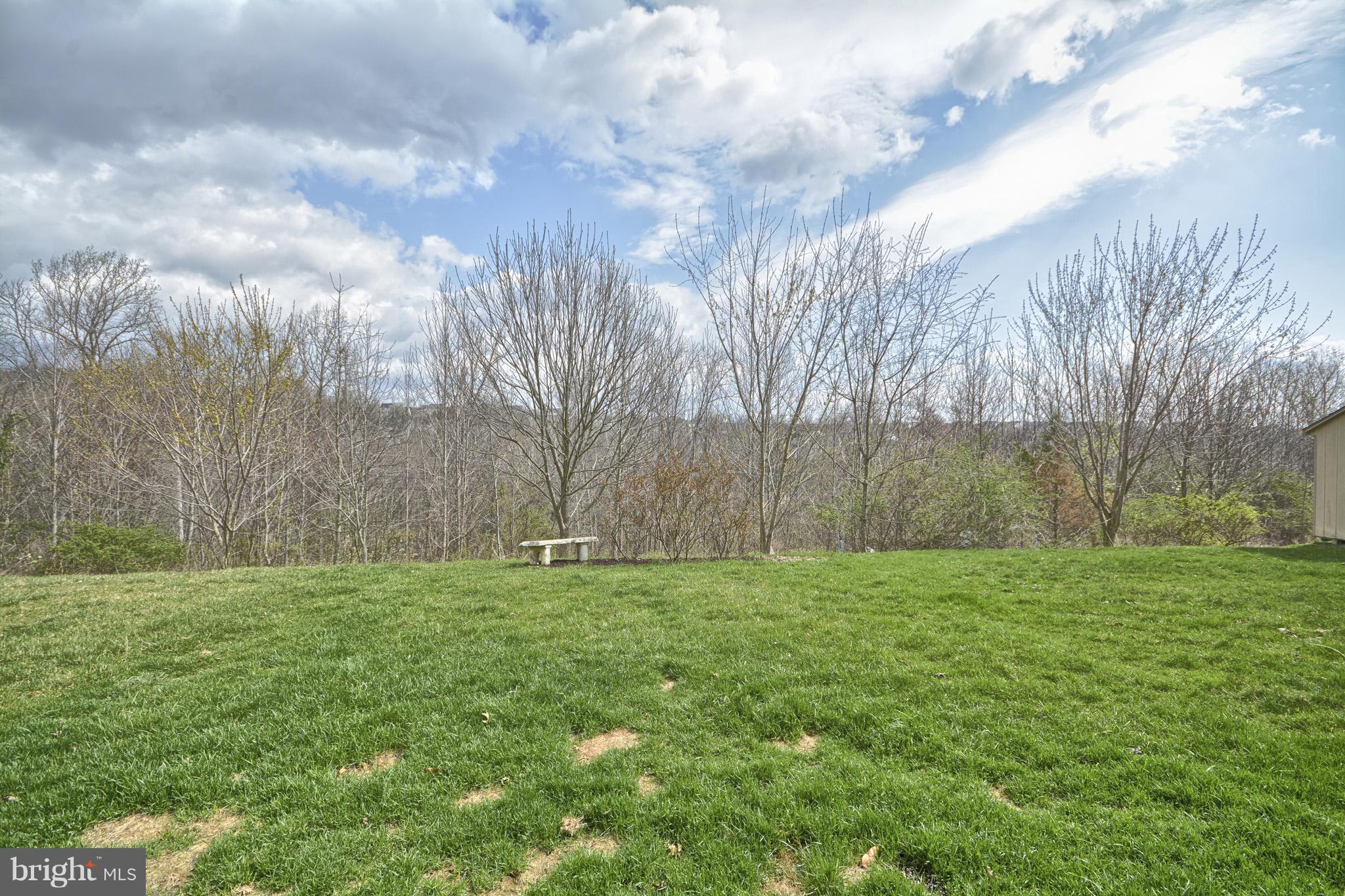 1741 Trestle Street Mount Airy, MD 21771 - Photo 28 of 30 a view of a grassy field