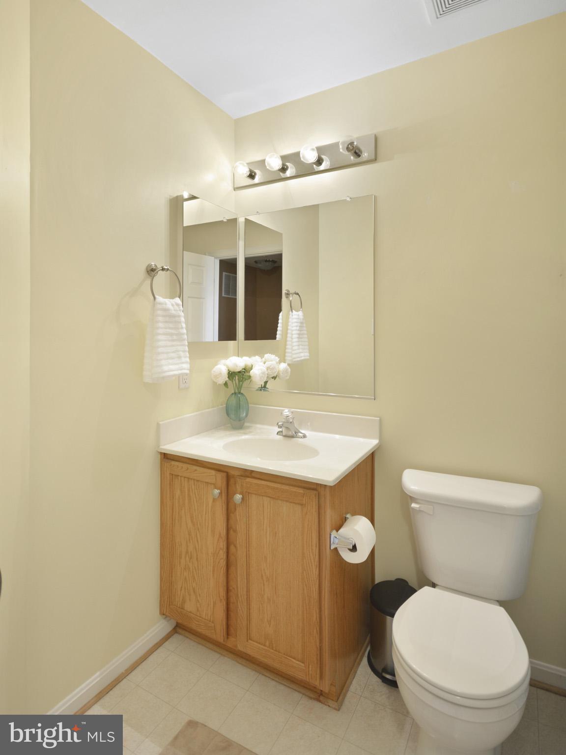 1741 Trestle Street Mount Airy, MD 21771 - Photo 30 of 30 a bathroom with a toilet a sink and mirror