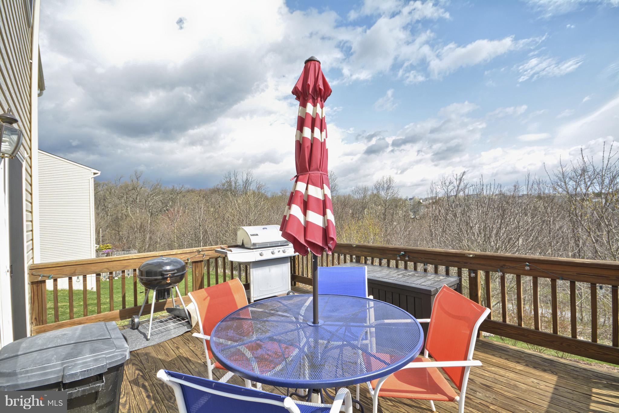1741 Trestle Street Mount Airy, MD 21771 - Photo 8 of 30