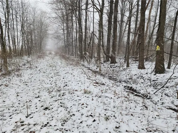 a view of a backyard of the house