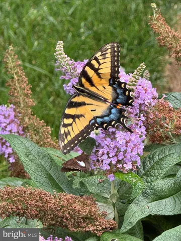 $650,000 | 22902 Lakeview Drive, Millsboro, DE 19966