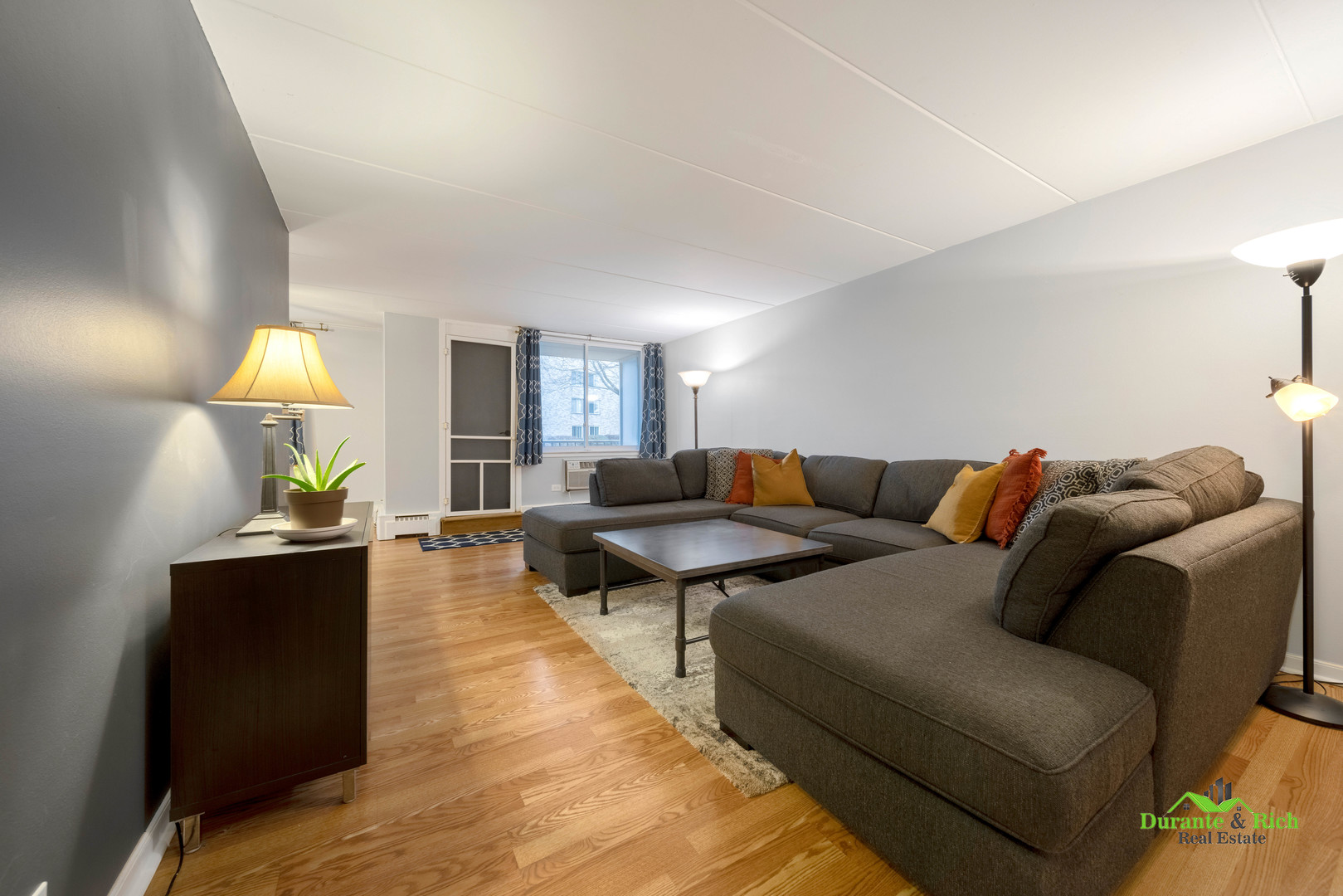 225 South Rohlwing Road, Unit 118 Palatine, IL 60074 - Photo 4 of 12 a living room with furniture a lamp and a potted plant