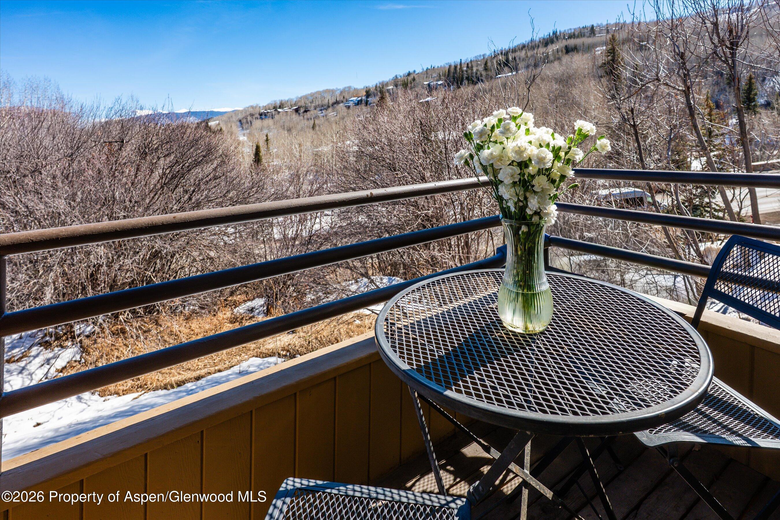 34 Lower Woodbridge Road, Unit 149 Snowmass Village, CO 81615 - Photo 13 of 15 a vase of flowers sitting on a table