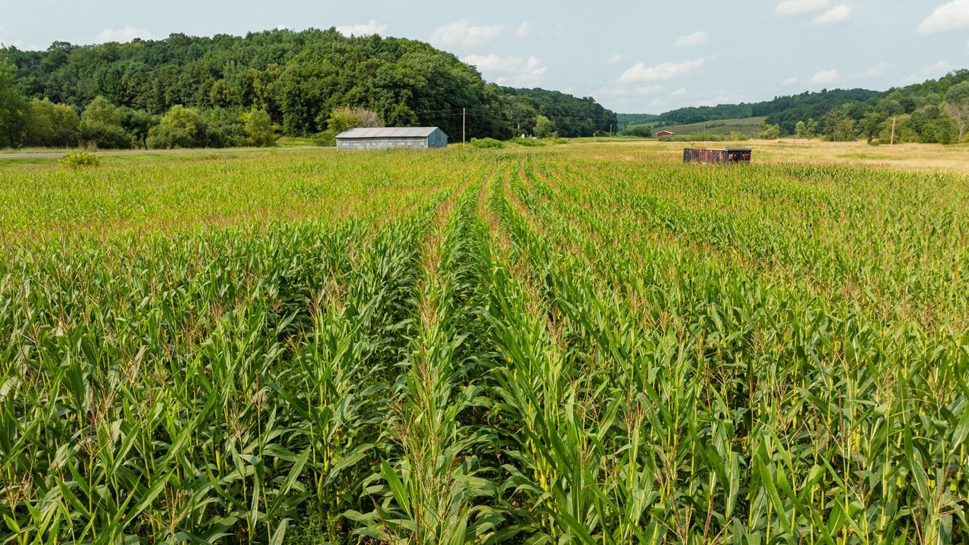 0 County Rd K Boyceville, WI 54725 - Photo 14 of 26 Gallery Image 14