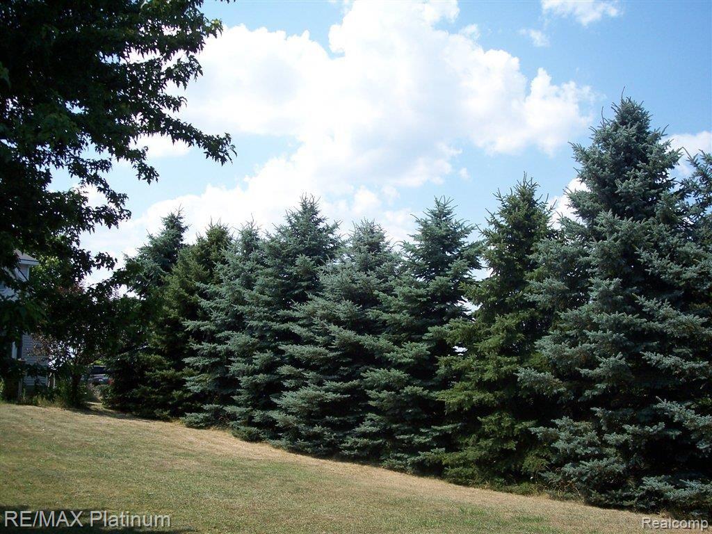 2365 Fowlerville Road Fowlerville, MI 48836 - Photo 2 of 25 SHRINE-IN-PINES